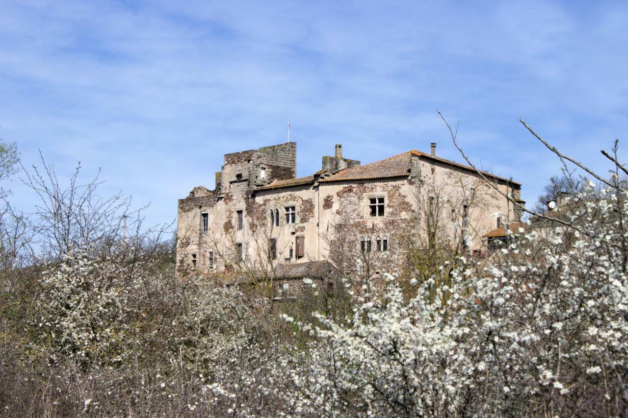 Chateau De Latour Sur Sorgue Marnhagues-et-Latour Εξωτερικό φωτογραφία
